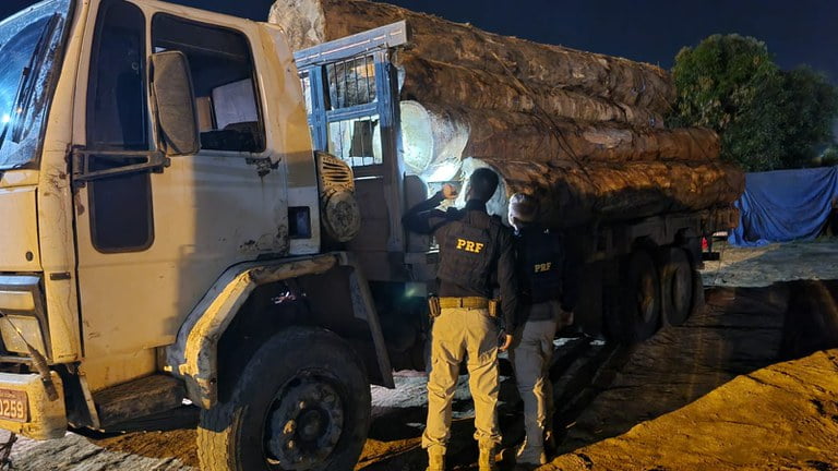 PRF apreende quase 150 metros cúbicos madeira