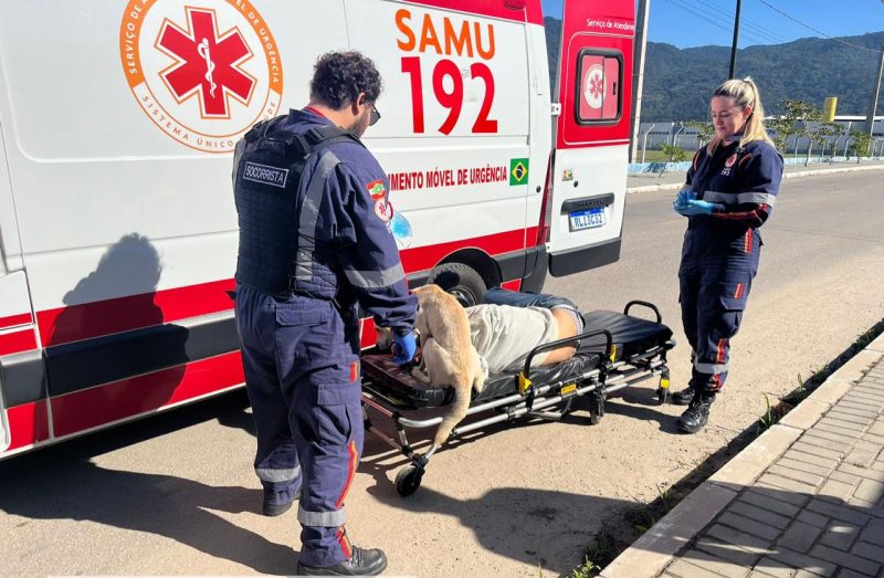 Companheirismo: Cachorro sobe na maca e entra em ambulância após tutor passar mal