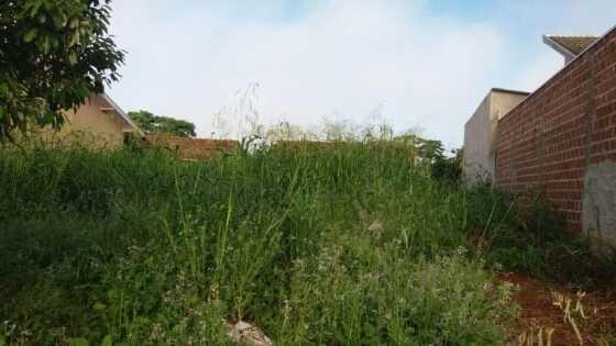 Macário Barros Solicita remoção de entulho e limpeza de terreno no Bairro Teixeirão