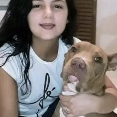 Ele mordeu na jugular”: dona de pitbull morre ao ser atacada pelo próprio cachorro