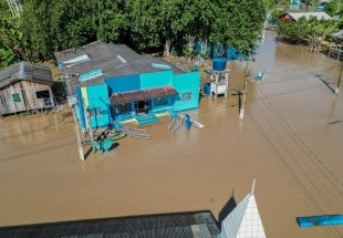 Ajude quem precisa: campanha solidária em porto velho apoia famílias atingidas pela cheia do madeira