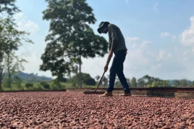 Agricultura fortalecida: deputado Alan Queiroz investe mais de R$ 9,5 milhões na agricultura do estado de Rondônia