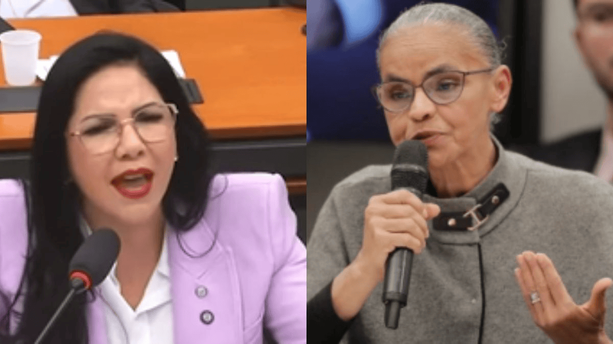 Deputada federal Cristiane Lopes critica ministra do meio ambiente em audiência de comissão e cobra fim de embargos