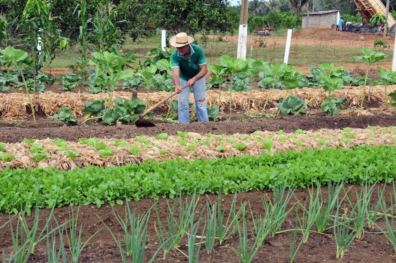 Deputado Alan Queiroz destina R$ 200 mil para aquisição de implementos agrícolas em Alto Paraíso