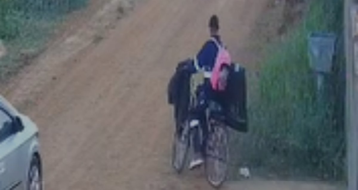 Câmeras flagram suspeito furtando televisão de residência em Porto Velho