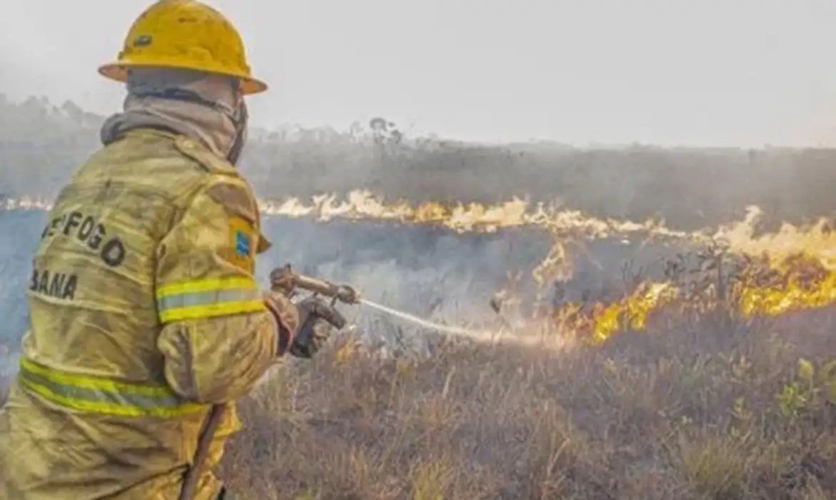 Governo investiga se há organização por trás dos incêndios no Amazonas